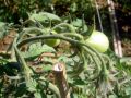 2010 05 24 jeanmarcperfetti.com 062.JPG